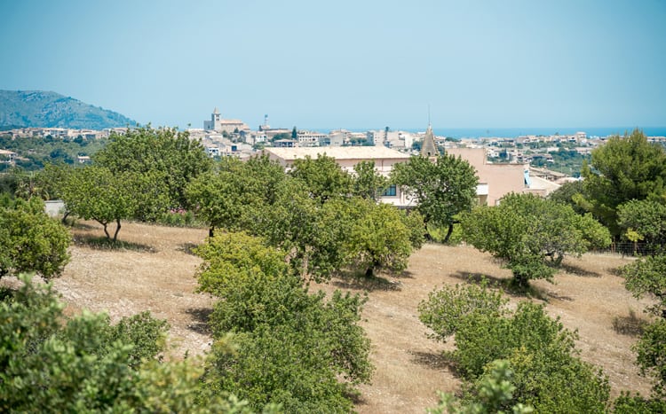 Villa Dante 1