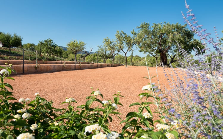 Villa Dante 2