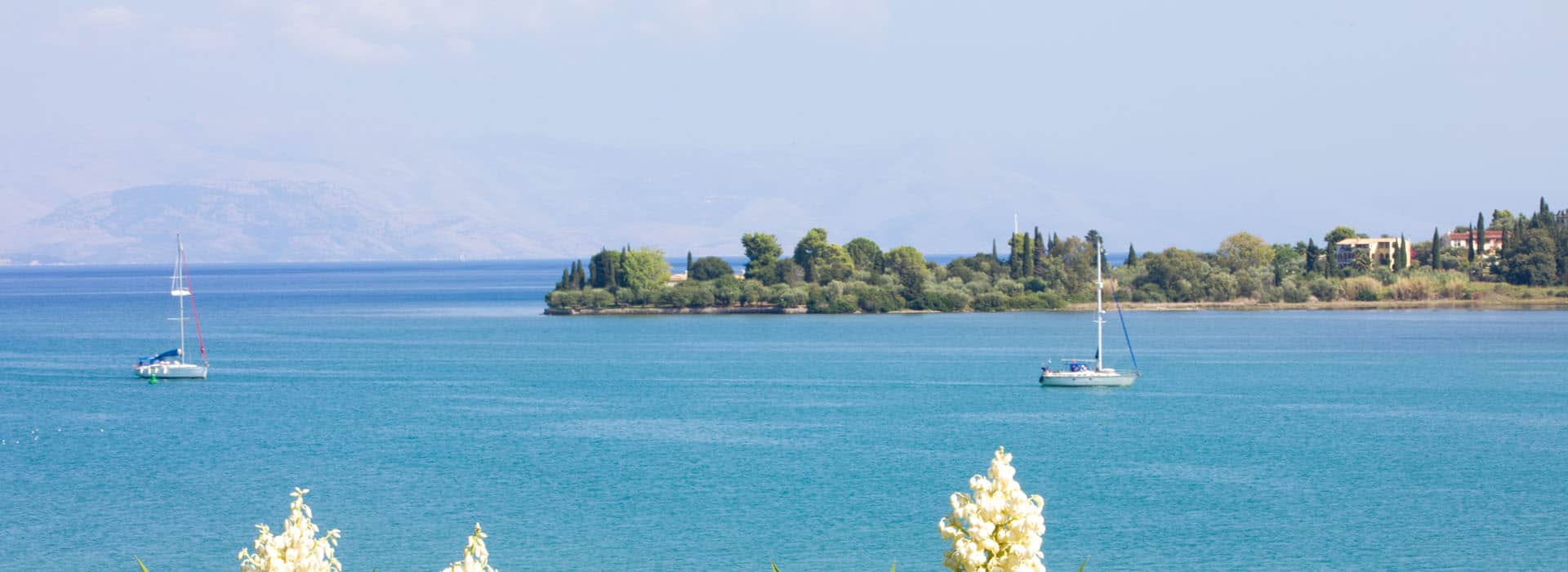banner-innerbg