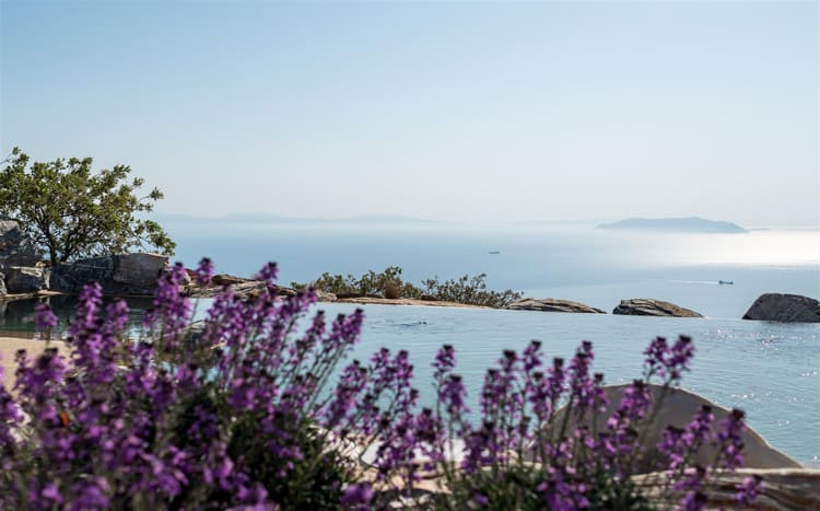 Villa Opal