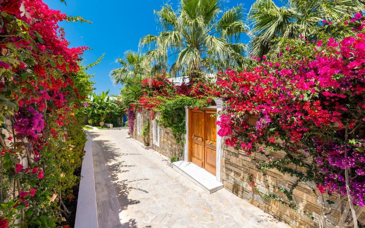 Porto Zante Villas & Spa