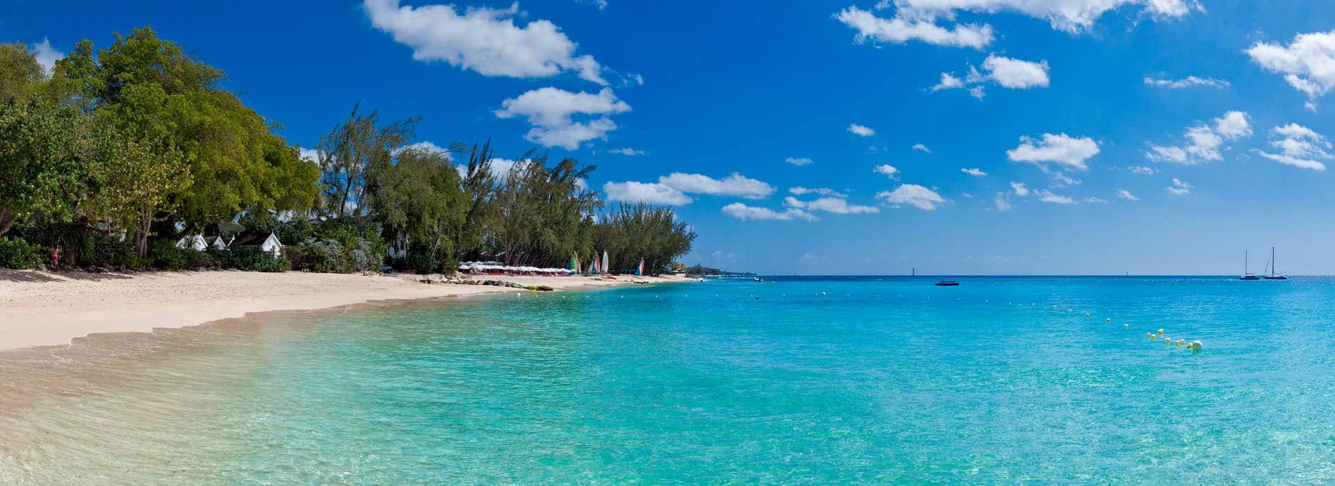 banner-innerbg