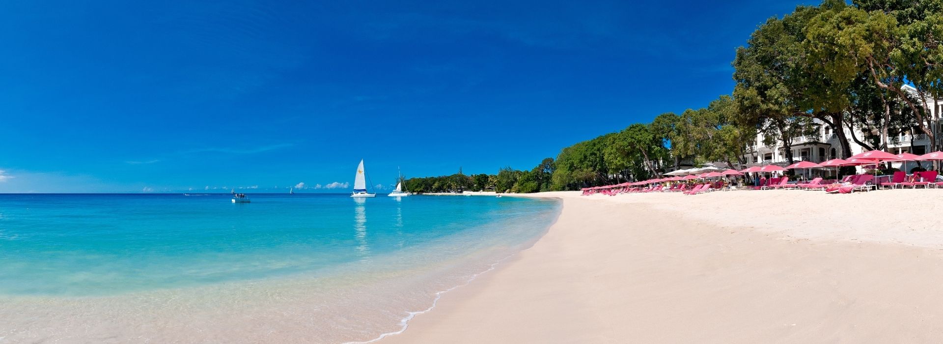 banner-innerbg