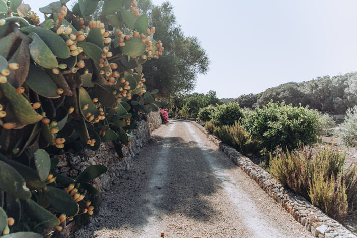 La Finca