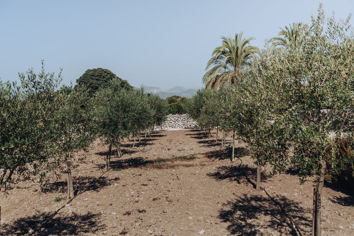 La Finca