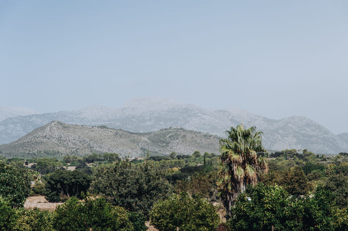 La Finca