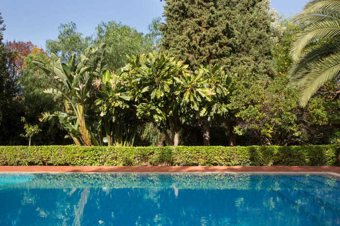 Casa Sadie
