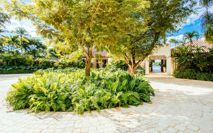 Casa Minitas