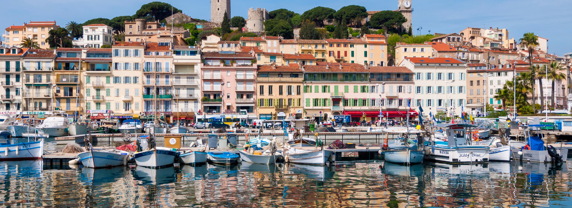 banner-innerbg