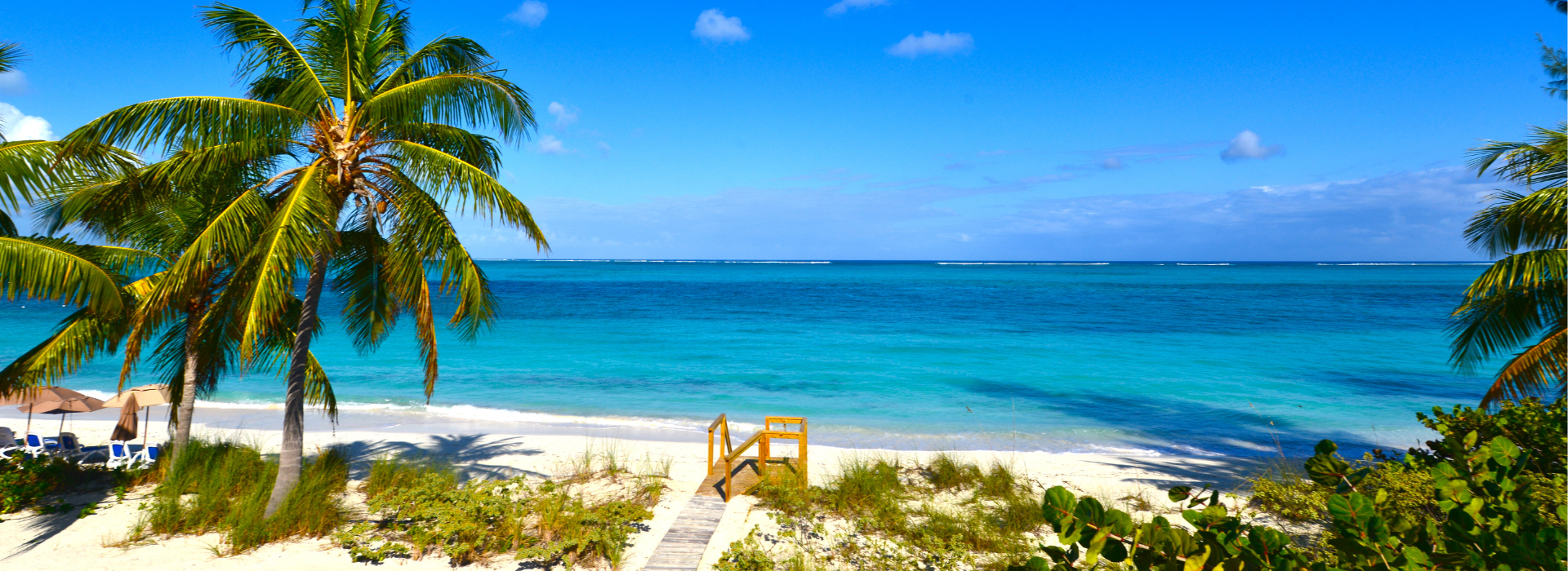 banner-innerbg