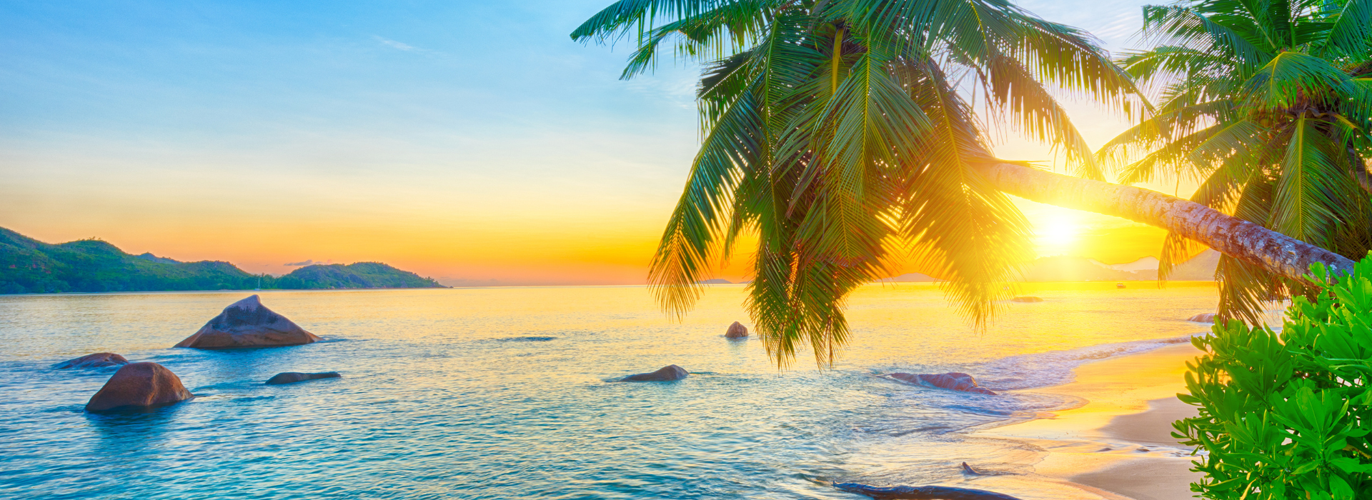 banner-innerbg