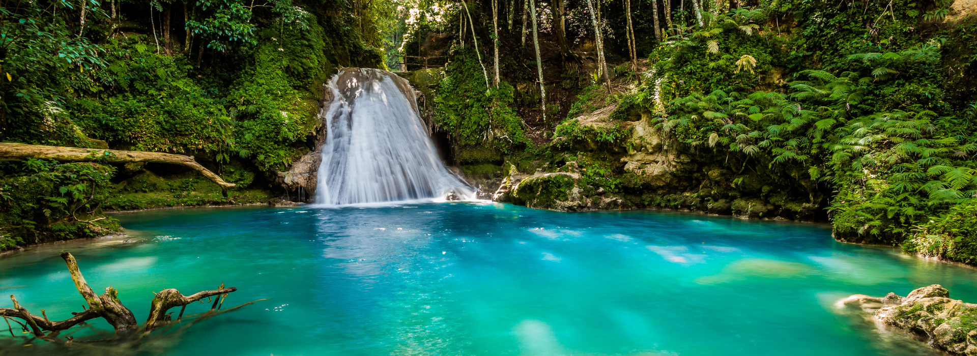banner-innerbg