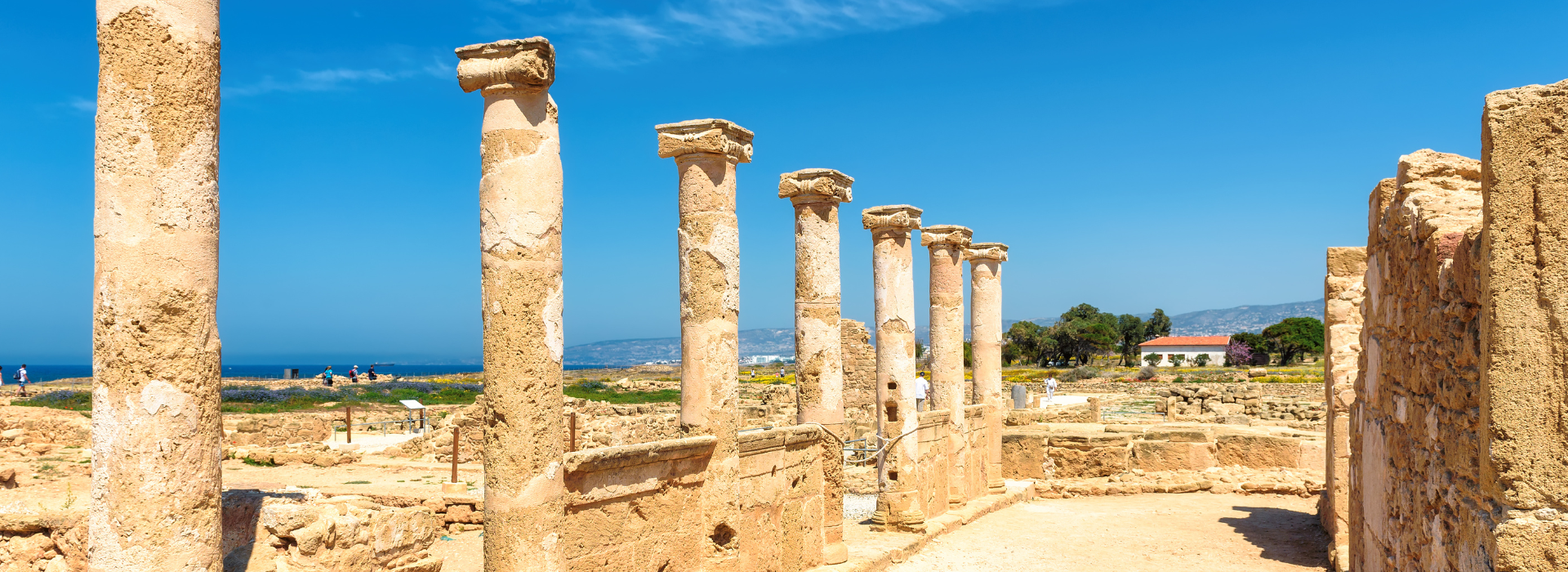 banner-innerbg