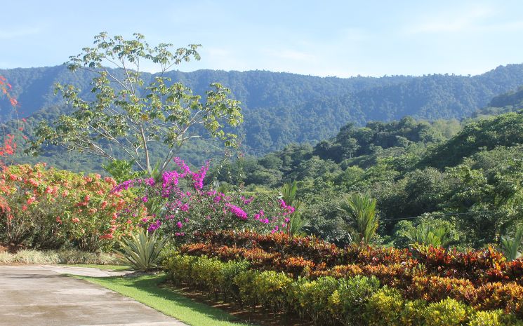 Casa Hacienda Jaguar