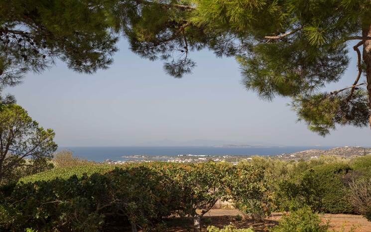 Villa Oasi