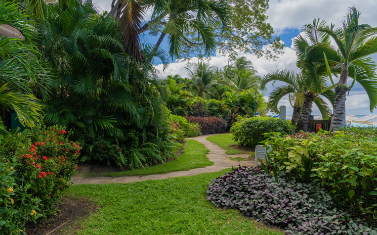 Beachi at Coral Cove