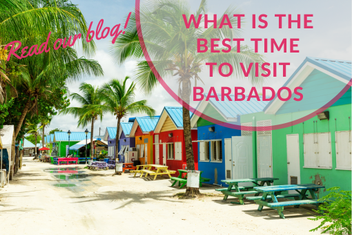 What is The Best Time to Visit Barbados?
