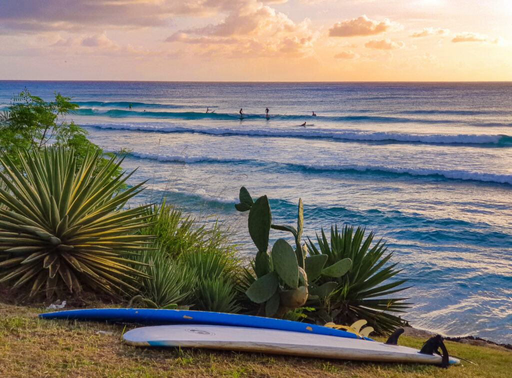Surfboard by beach in Barbados