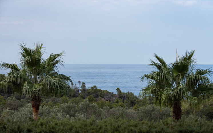 Sa Terra Rotja – Son Bunyola
