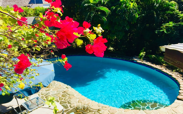Hummingbird Villa