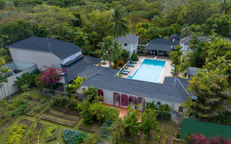Bon Vivant Sandy Lane