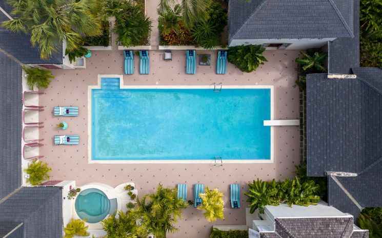 Bon Vivant Sandy Lane