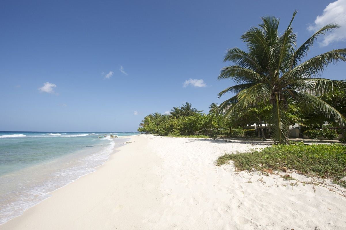 Palm Beach 110